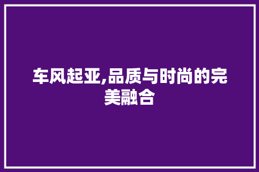 车风起亚,品质与时尚的完美融合