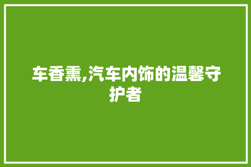 车香熏,汽车内饰的温馨守护者