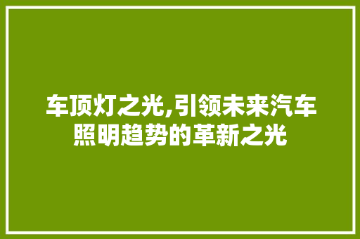 车顶灯之光,引领未来汽车照明趋势的革新之光