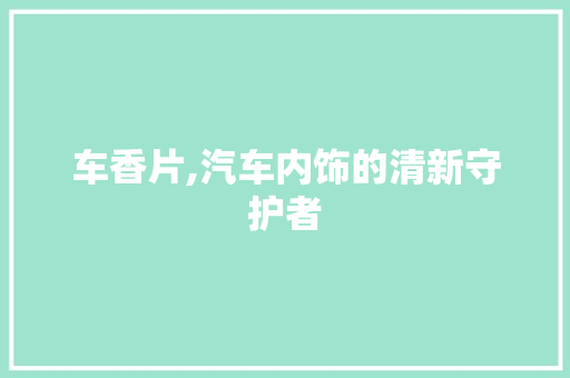车香片,汽车内饰的清新守护者 车灯配件