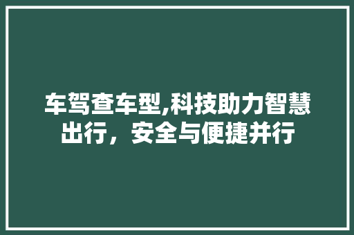 车驾查车型,科技助力智慧出行，安全与便捷并行