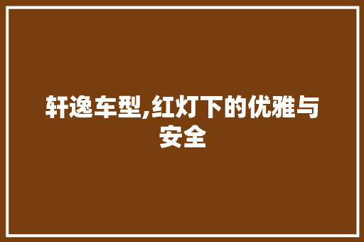 轩逸车型,红灯下的优雅与安全