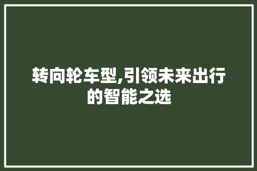 转向轮车型,引领未来出行的智能之选