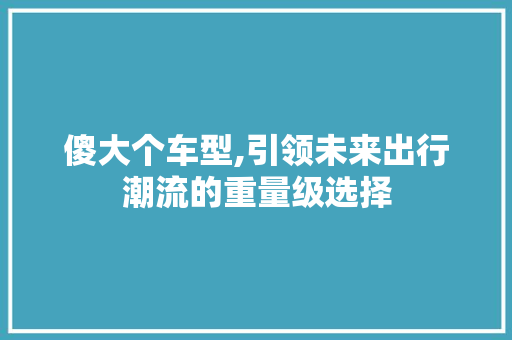 傻大个车型,引领未来出行潮流的重量级选择