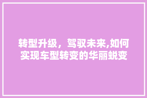转型升级，驾驭未来,如何实现车型转变的华丽蜕变