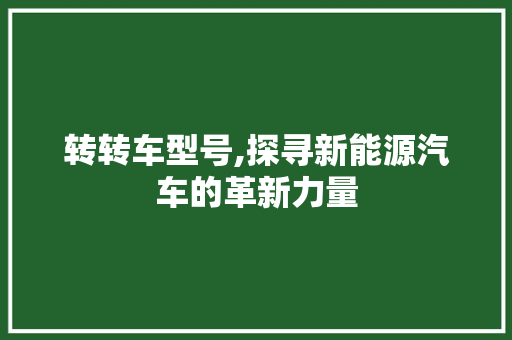 转转车型号,探寻新能源汽车的革新力量