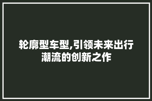 轮廓型车型,引领未来出行潮流的创新之作