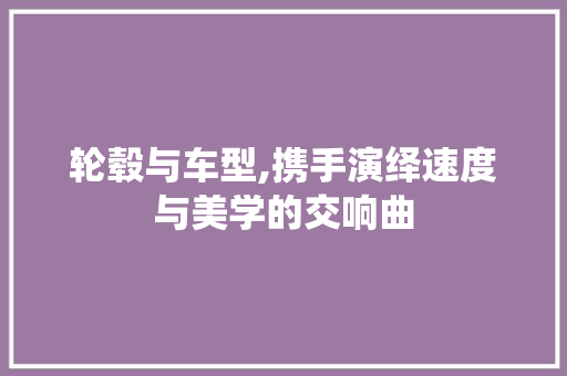 轮毂与车型,携手演绎速度与美学的交响曲