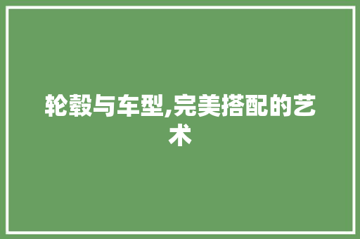 轮毂与车型,完美搭配的艺术