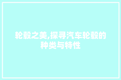 轮毂之美,探寻汽车轮毂的种类与特性