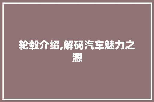 轮毂介绍,解码汽车魅力之源 发动机配件