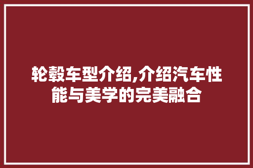 轮毂车型介绍,介绍汽车性能与美学的完美融合