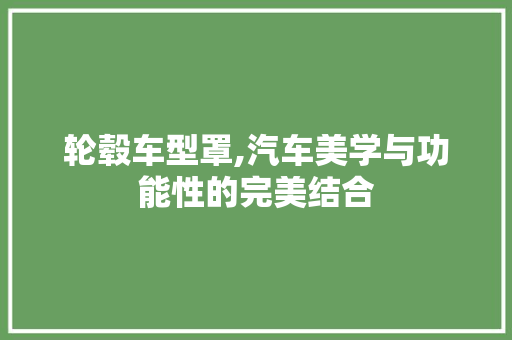 轮毂车型罩,汽车美学与功能性的完美结合