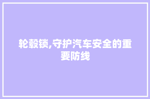 轮毂锁,守护汽车安全的重要防线 车身配件