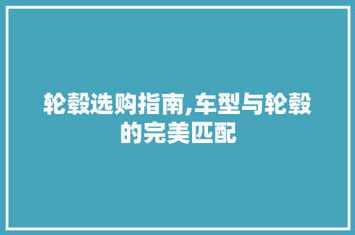 轮毂选购指南,车型与轮毂的完美匹配