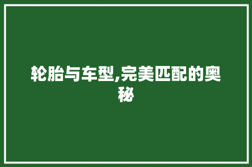 轮胎与车型,完美匹配的奥秘