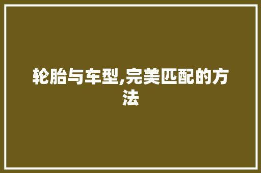 轮胎与车型,完美匹配的方法