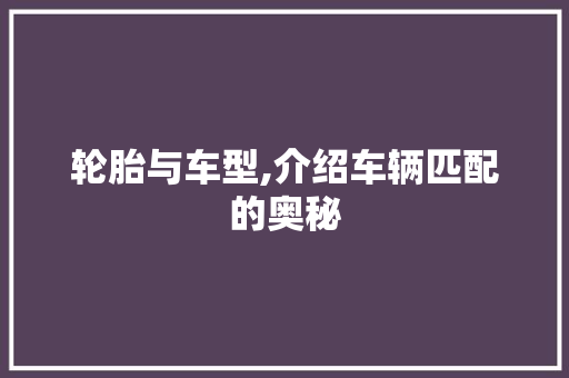 轮胎与车型,介绍车辆匹配的奥秘