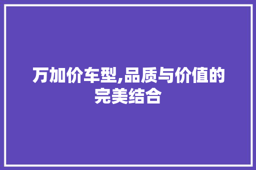 万加价车型,品质与价值的完美结合
