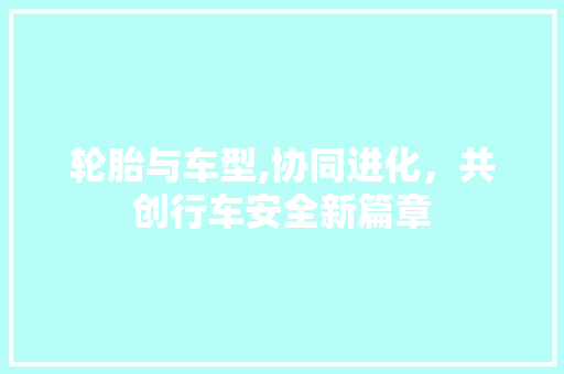 轮胎与车型,协同进化，共创行车安全新篇章