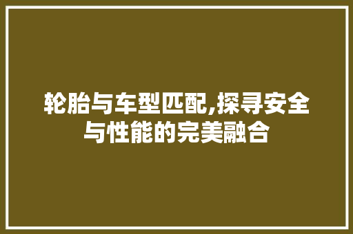 轮胎与车型匹配,探寻安全与性能的完美融合