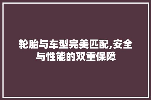 轮胎与车型完美匹配,安全与性能的双重保障