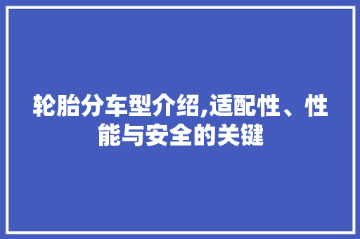轮胎分车型介绍,适配性、性能与安全的关键