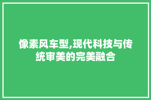 像素风车型,现代科技与传统审美的完美融合