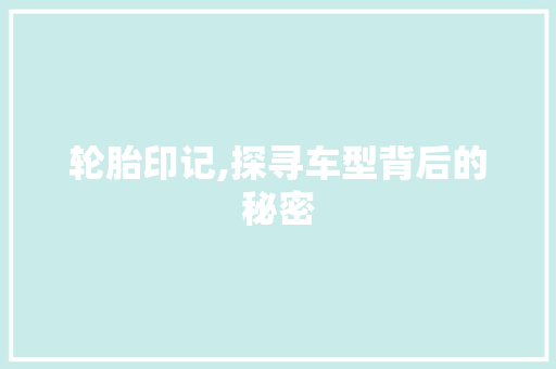 轮胎印记,探寻车型背后的秘密