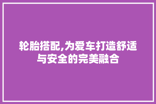 轮胎搭配,为爱车打造舒适与安全的完美融合