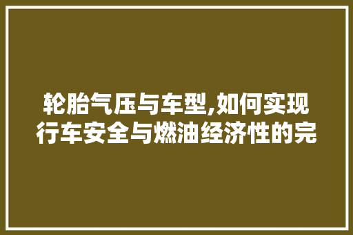 轮胎气压与车型,如何实现行车安全与燃油经济性的完美平衡