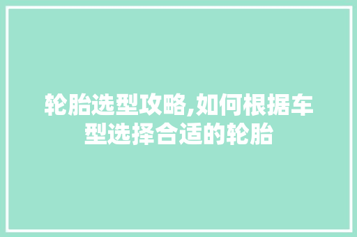 轮胎选型攻略,如何根据车型选择合适的轮胎