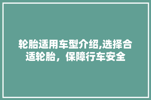 轮胎适用车型介绍,选择合适轮胎，保障行车安全