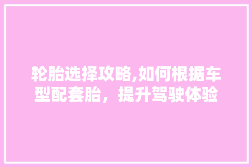 轮胎选择攻略,如何根据车型配套胎，提升驾驶体验
