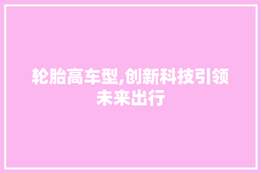 轮胎高车型,创新科技引领未来出行