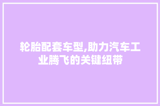 轮胎配套车型,助力汽车工业腾飞的关键纽带