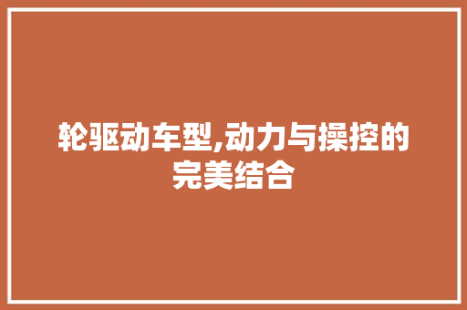 轮驱动车型,动力与操控的完美结合