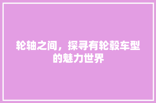 轮轴之间，探寻有轮毂车型的魅力世界