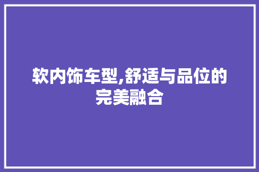 软内饰车型,舒适与品位的完美融合