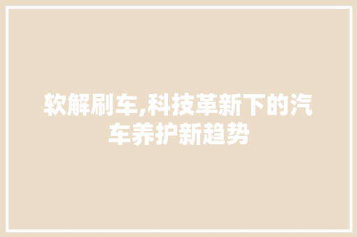 软解刷车,科技革新下的汽车养护新趋势