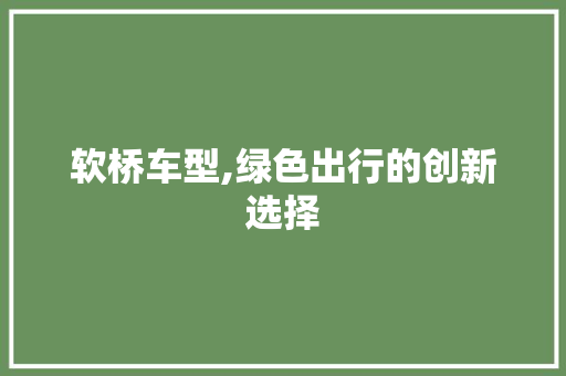 软桥车型,绿色出行的创新选择