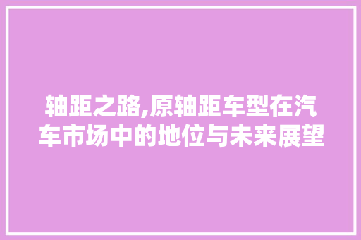 轴距之路,原轴距车型在汽车市场中的地位与未来展望