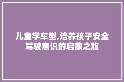 儿童学车型,培养孩子安全驾驶意识的启蒙之旅