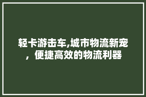 轻卡游击车,城市物流新宠，便捷高效的物流利器