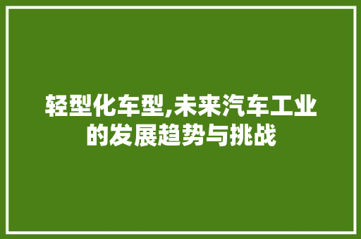 轻型化车型,未来汽车工业的发展趋势与挑战