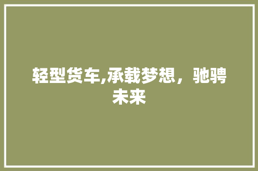 轻型货车,承载梦想，驰骋未来
