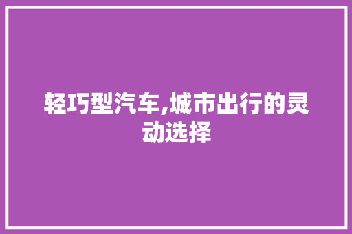 轻巧型汽车,城市出行的灵动选择