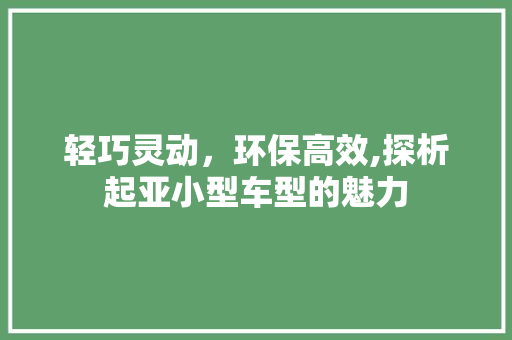 轻巧灵动，环保高效,探析起亚小型车型的魅力