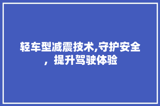 轻车型减震技术,守护安全，提升驾驶体验