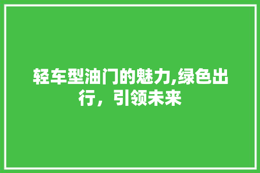 轻车型油门的魅力,绿色出行，引领未来